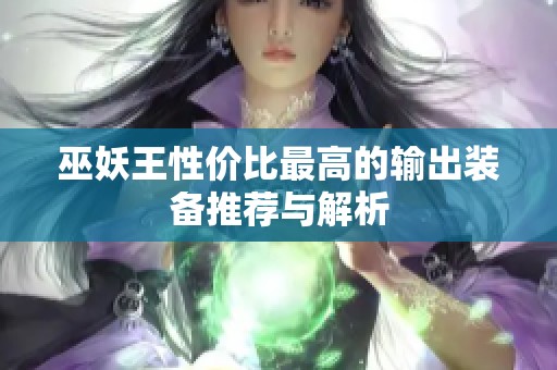 巫妖王性价比最高的输出装备推荐与解析